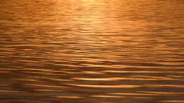 波涛汹涌的水面 日落时分鲜活橙色的抽象宁静风景 — 图库视频影像