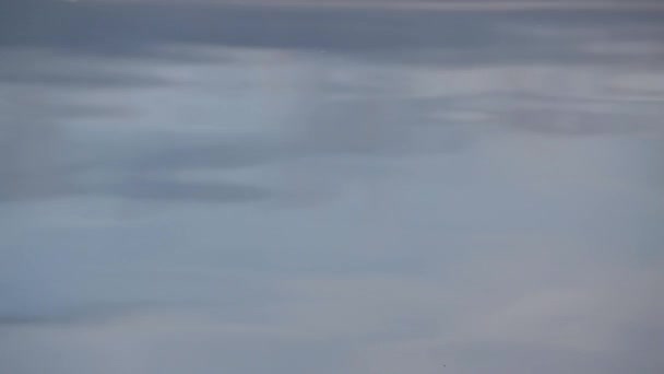 Close Uma Superfície Água Que Está Lentamente Ondulando — Vídeo de Stock