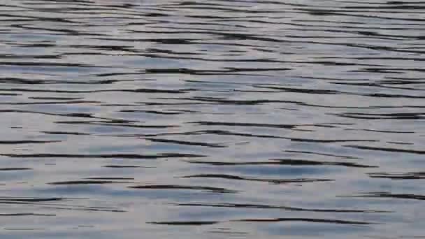 Mesmerizing Pattern Movement Reflection Wavling Water Surface — Stock video