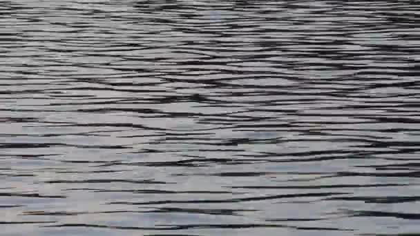 Mesmerizing Pattern Movement Reflection Rippling Water Surface — Stock Video