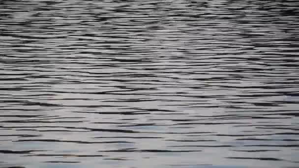 Modèle Hypnotisant Mouvement Réflexion Sur Surface Eau Ondulante — Video