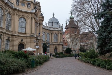 Macaristan 'ın Budapeşte kentindeki Vajdahunyad şatosu bulutlu bir günde