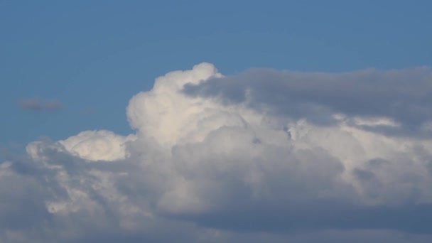 大きな白い積乱雲や積乱雲は 時間の経過とともに青空に変化し 大気中の天気の変化 — ストック動画