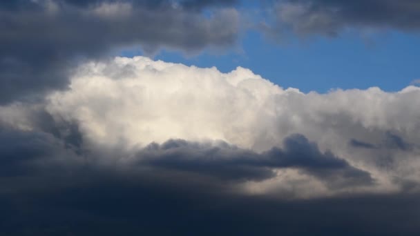 Büyük Beyaz Kümülüs Bulutları Değişir Gökyüzünde Büyür Kara Bulutlarla Çerçevelenir — Stok video