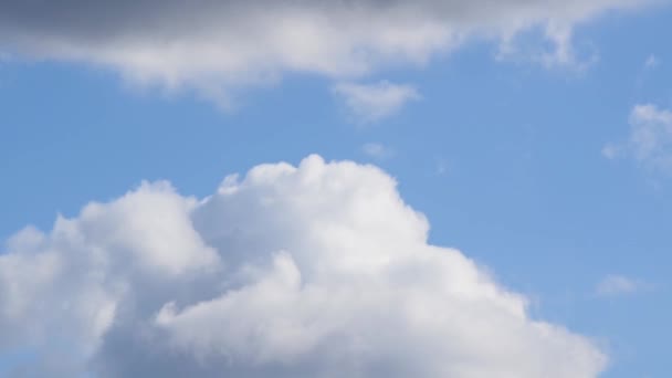 晴れた日の青い空に対する白い積雲 ダイナミックな速い変化と大気中の雲の成長 — ストック動画