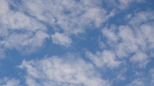 Altocumulus Clouds Moving Blue Sky Evening Patchy Shallow Appearance — Stock Video