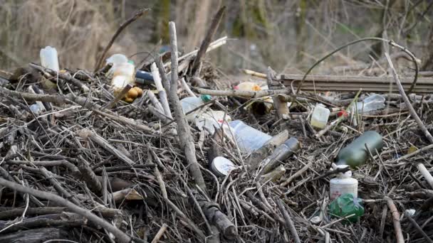 Madera Deriva Basura Doméstica Lavada Tierra Problema Contaminación Ambiental — Vídeos de Stock