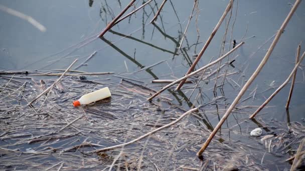 Botella Plástico Flotar Agua Entre Caña Residuos Plásticos Problema Contaminación — Vídeos de Stock