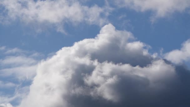 Fluffy Putih Awan Lambat Bergerak Melintasi Langit Biru — Stok Video