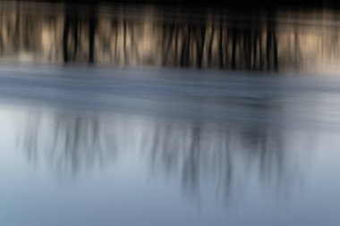 Nehir detaylarıyla soyut manzara, hızlı su akıntısı ve yapraksız nehir ormanlarının yansıması.