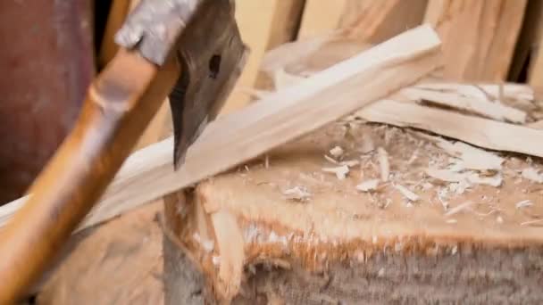 Man Cuts Thin Piece Wood Smaller Pieces Stump — Stock Video