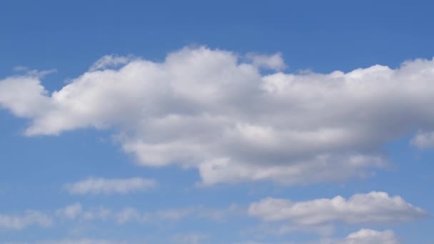 Mjuka Fluffiga Cumulus Moln Passerar Mot Blå Himmel Tid Förflutit — Stockvideo