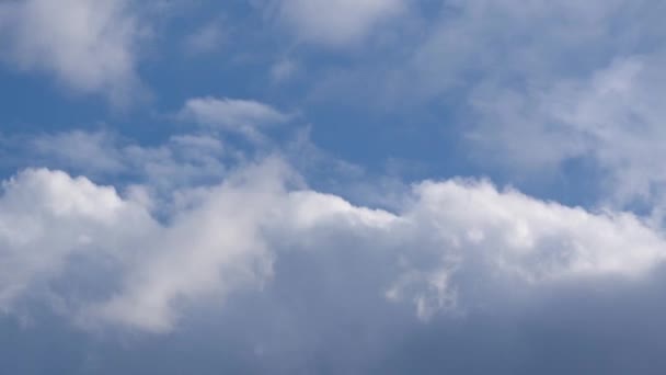 两层云向相反的方向快速向前移动 蓬松的积云和阿尔托积云缩短了时间 — 图库视频影像