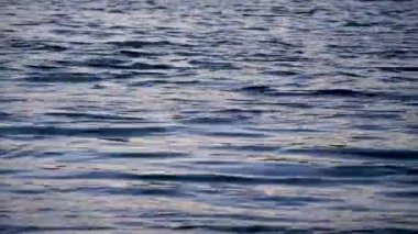 Su yüzeyindeki dalgalar kameraya doğru hareket ediyor.