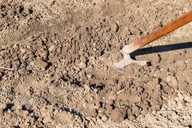 Bahar bahçesinde çapayla toprak kazmak, tohum ekmek için çukur kazmak, bahçe aletleri.