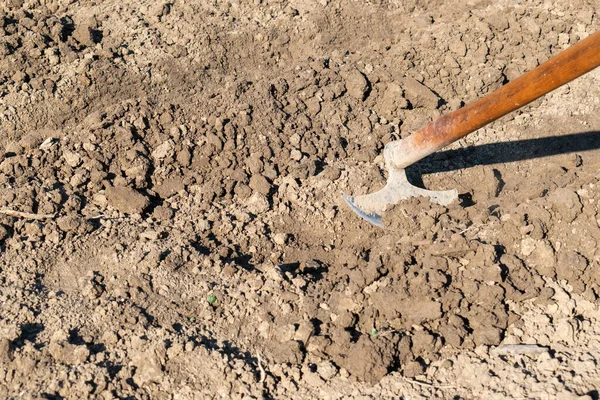 Bahar bahçesinde çapayla toprak kazmak, tohum ekmek için çukur kazmak, bahçe aletleri.