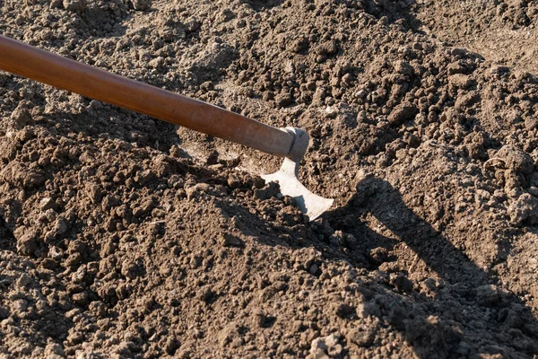 Digging soil with hoe in spring garden, digging trenches for seeding, gardening tool