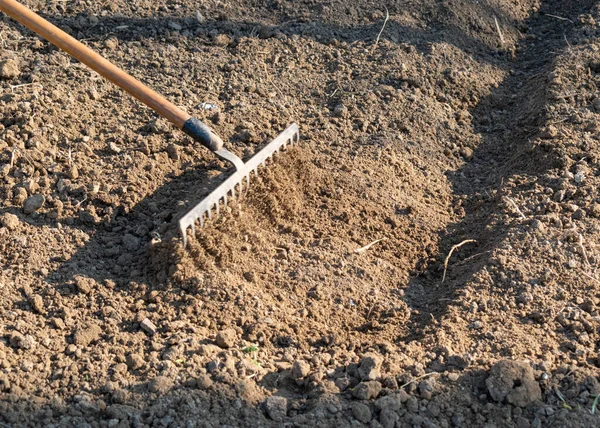 Shaping Soil Planting Rake Spring Work Gardening Tool Preparing Ground — Stockfoto