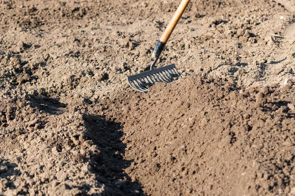 Shaping Soil Planting Rake Spring Work Gardening Tool Preparing Ground — Stock Photo, Image