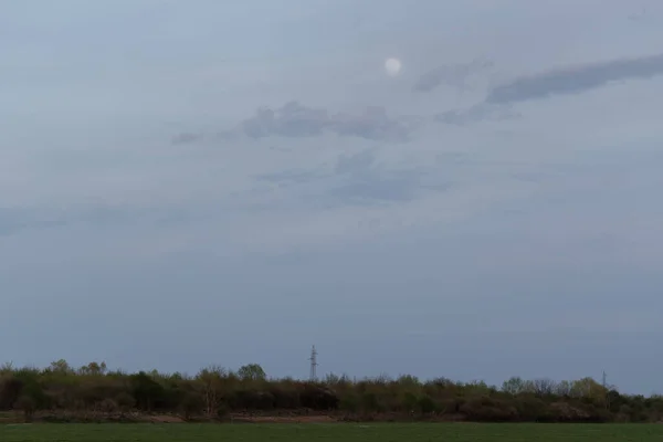 Electric Pylon Forest Evening Full Moon Cloudy Sky — Stock Photo, Image