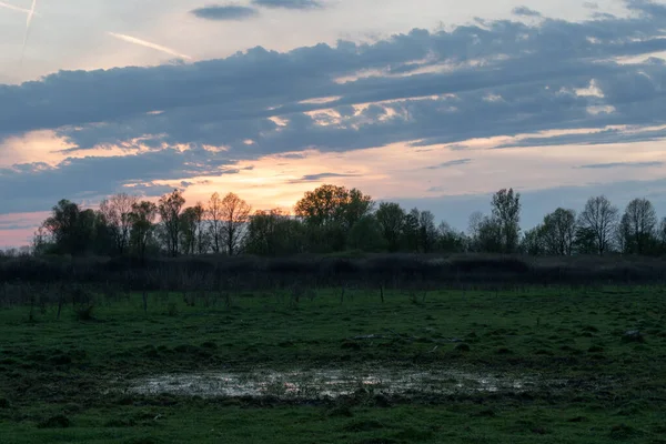 Landscape Puddle Grassland Sunset Glow Sky Forest Incline Diagonal Clouds — Stock Photo, Image