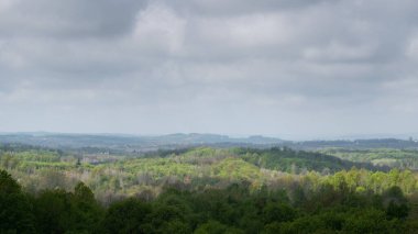 Tepedeki güneş lekesi yemyeşil ormanlarla kaplanmış, sisli bahar sabahı, panoramik manzara
