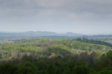 Tepedeki güneş lekesi bereketli ormanlarla kaplanmış, sisli bahar sabahı