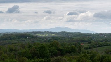 Dağlık kırsal bölgelerdeki ormanda güneş lekesi, yemyeşil orman ve gökyüzünde kümülüs bulutlarıyla kaplanmış kırsal alan.