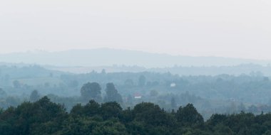 Atmospheric scene of lush forest layers in mist during autumn dusk in countryside, shades of blue