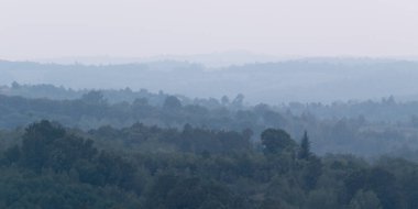 Atmospheric scene of lush forest layers in mist during autumn dusk in countryside, shades of blue