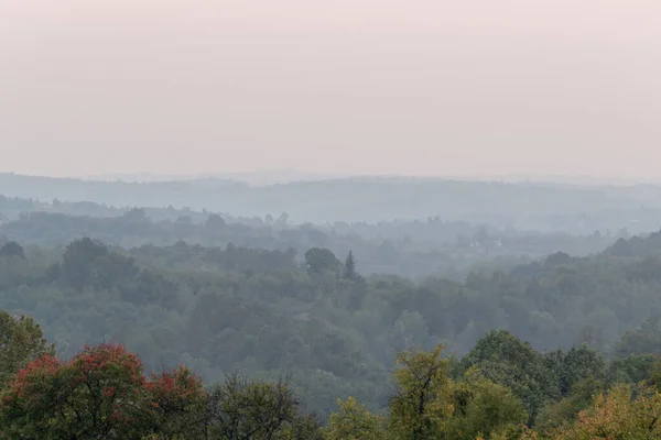 Atmospheric Landscape Scene Lush Forest Layers Mist Autumn Dusk Countryside — Stockfoto