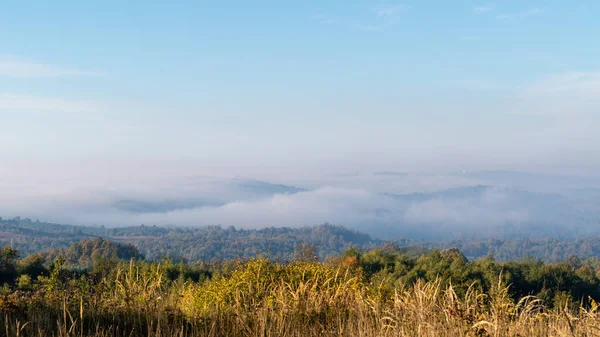 Desbordamiento Niebla Matutina Sobre Colina Otoño Panorama Del Paisaje Rural —  Fotos de Stock