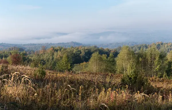 Landschaftspanorama Herbst Nebelschwaden Über Dem Bewaldeten Hügel — Stockfoto