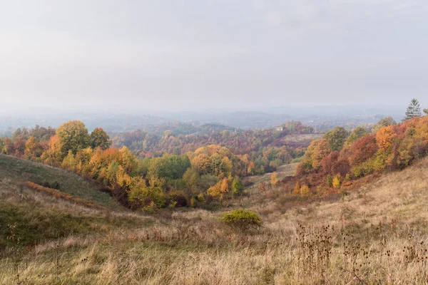 Hügelige Ländliche Landschaft Mit Wäldern Herbstfarben Ferne Hügel Verblassen Morgennebel — Stockfoto