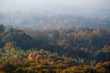 Sonbaharda yamaçtaki renkli orman, sabah sisinde parlayan güneş ışığı...