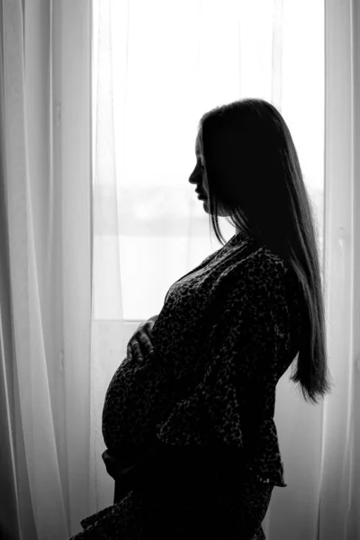 Femme enceinte silhouette photo. Femme enceinte debout près de la fenêtre. Portrait latéral de femme enceinte. Concentration sélective. Céréales. Photo De Stock