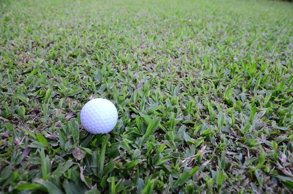 Bola de golfe em verde — Fotografia de Stock