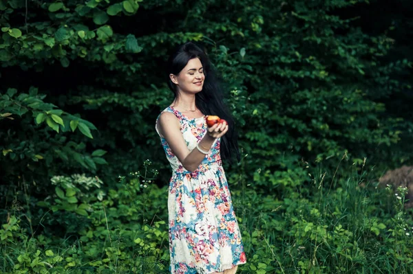 Bella Ragazza Nel Parco Picnic Mangiare Mele — Foto Stock