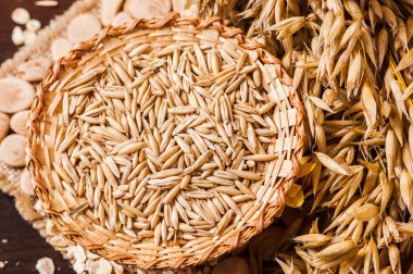 Tahta bir masanın üzerindeki yulaf lapası, yulaf ezmesi. Cömert hasat. Sağlıklı taze bir kuru yulaf yemeği. 