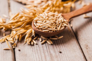 Tahta bir masanın üzerindeki yulaf lapası, yulaf ezmesi. Cömert hasat. Sağlıklı taze bir kuru yulaf yemeği. 