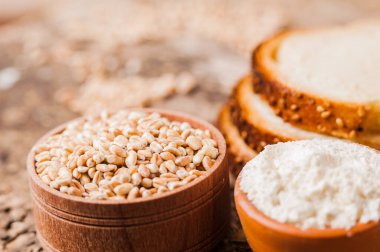 taze buğday taneleri ve un.