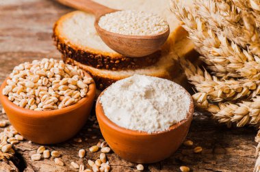 taze buğday taneleri ve un.