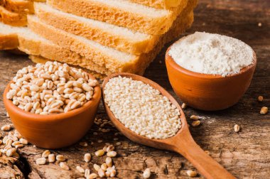 taze buğday taneleri ve un.