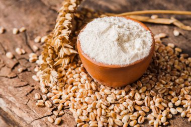 Fotoğraflar un renginde. Taze buğday taneleri ve un. Ekmek.