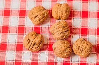  Seramik kasede ceviz çekirdeği