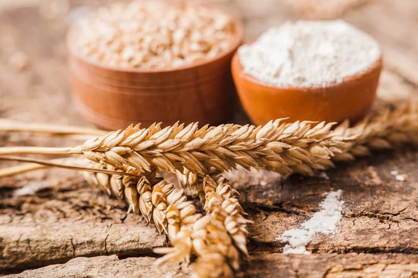 Čerstvá Pšeničná Zrna Mouka Plátky Chleba — Stock fotografie