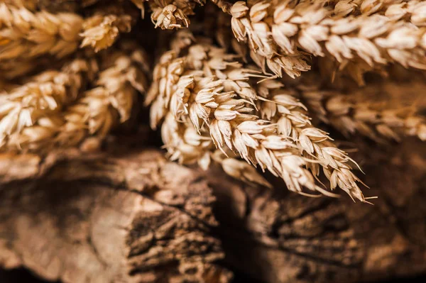 Fresh Wheat Grains Flour Slices Bread — Stock Photo, Image