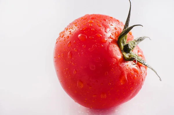 Fresh Tomatoes White Background — Stock Photo, Image