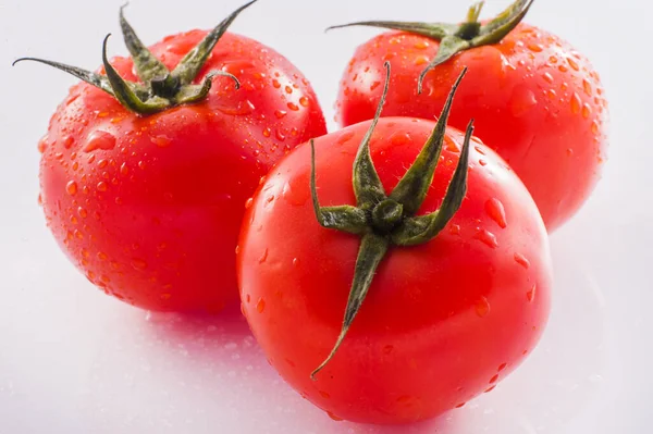 Tomates Frescos Sobre Fundo Branco — Fotografia de Stock