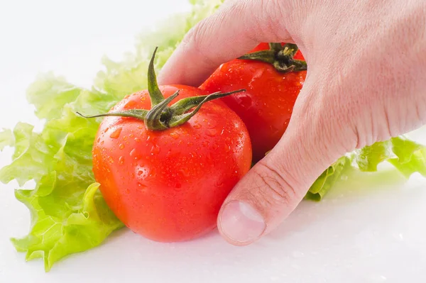 手拿着白色背景的新鲜西红柿 — 图库照片